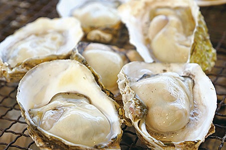 【岐阜発着】浦村海上に浮かぶ屋形で食す海上焼き牡蠣食べ放題と伊勢神宮・内宮 日帰り 浦村最大級の牡蠣養殖業社の海上に浮かぶ屋形で本場の焼き牡蠣を食べ放題1